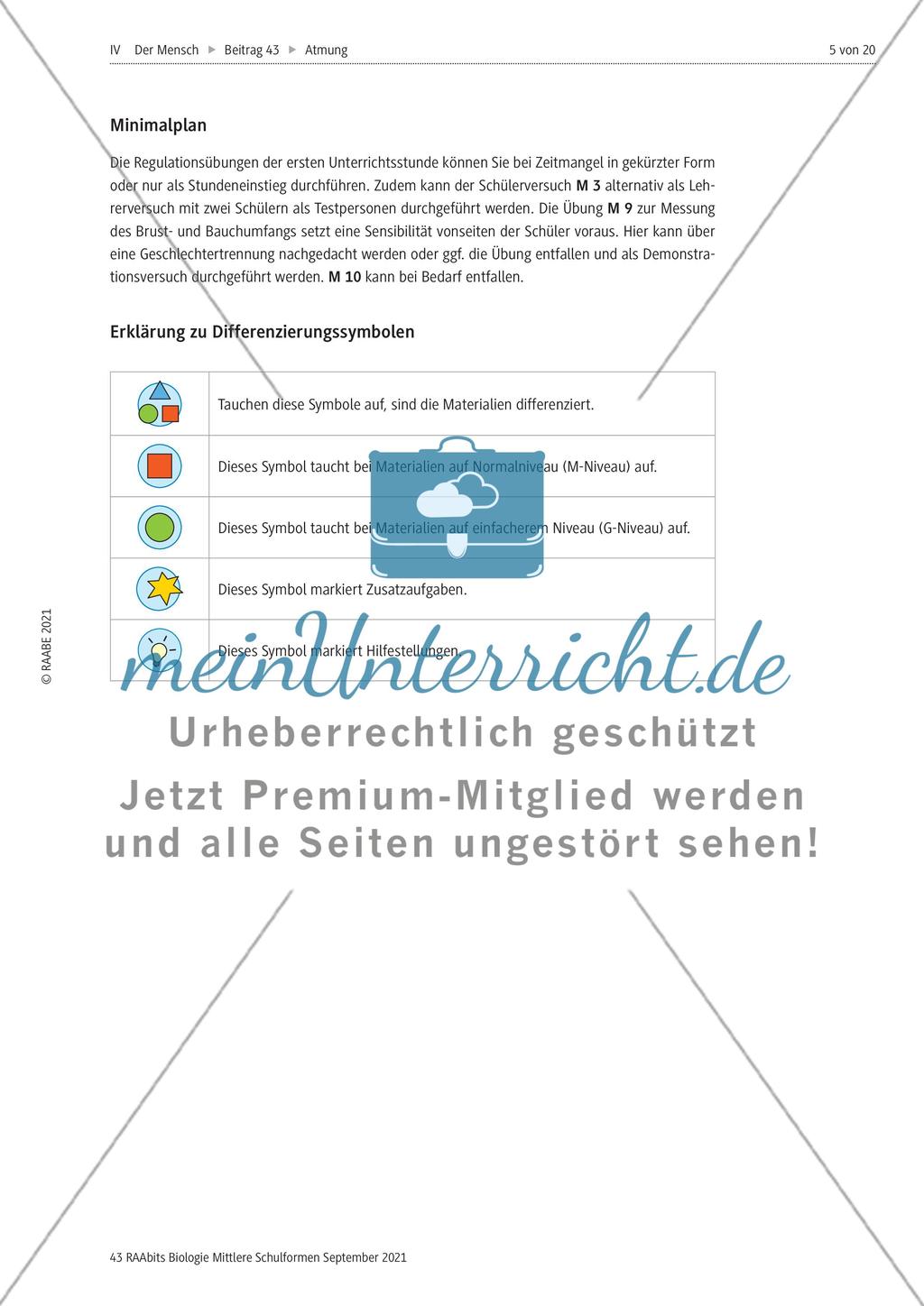 Einführung mit Zusatzmaterial Preview 5