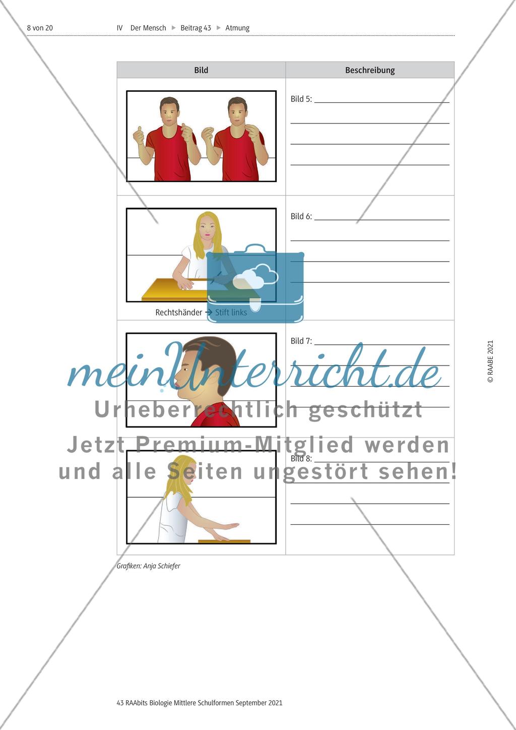 Unsere Atmung Preview 3