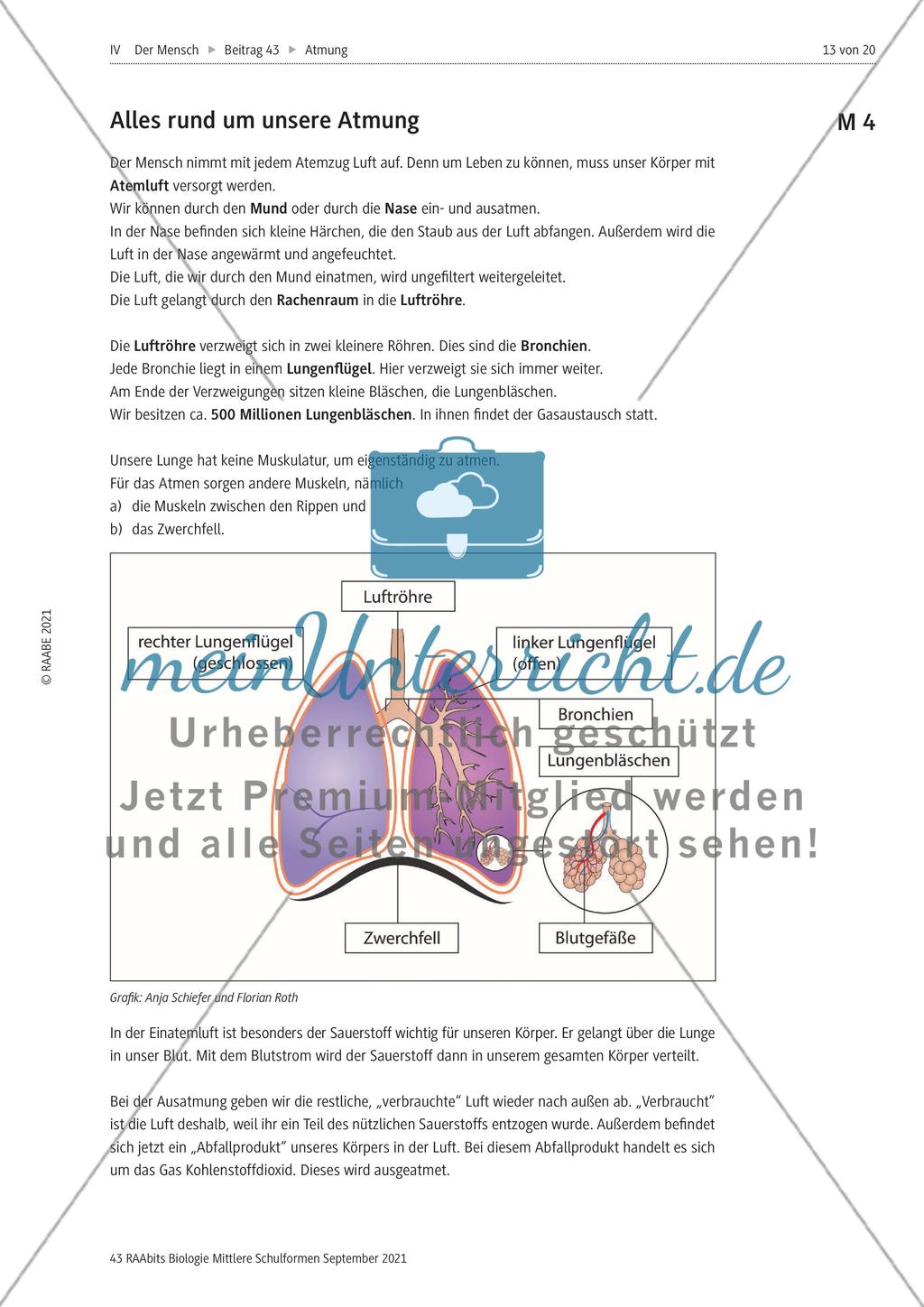 Unsere Atmung Preview 8