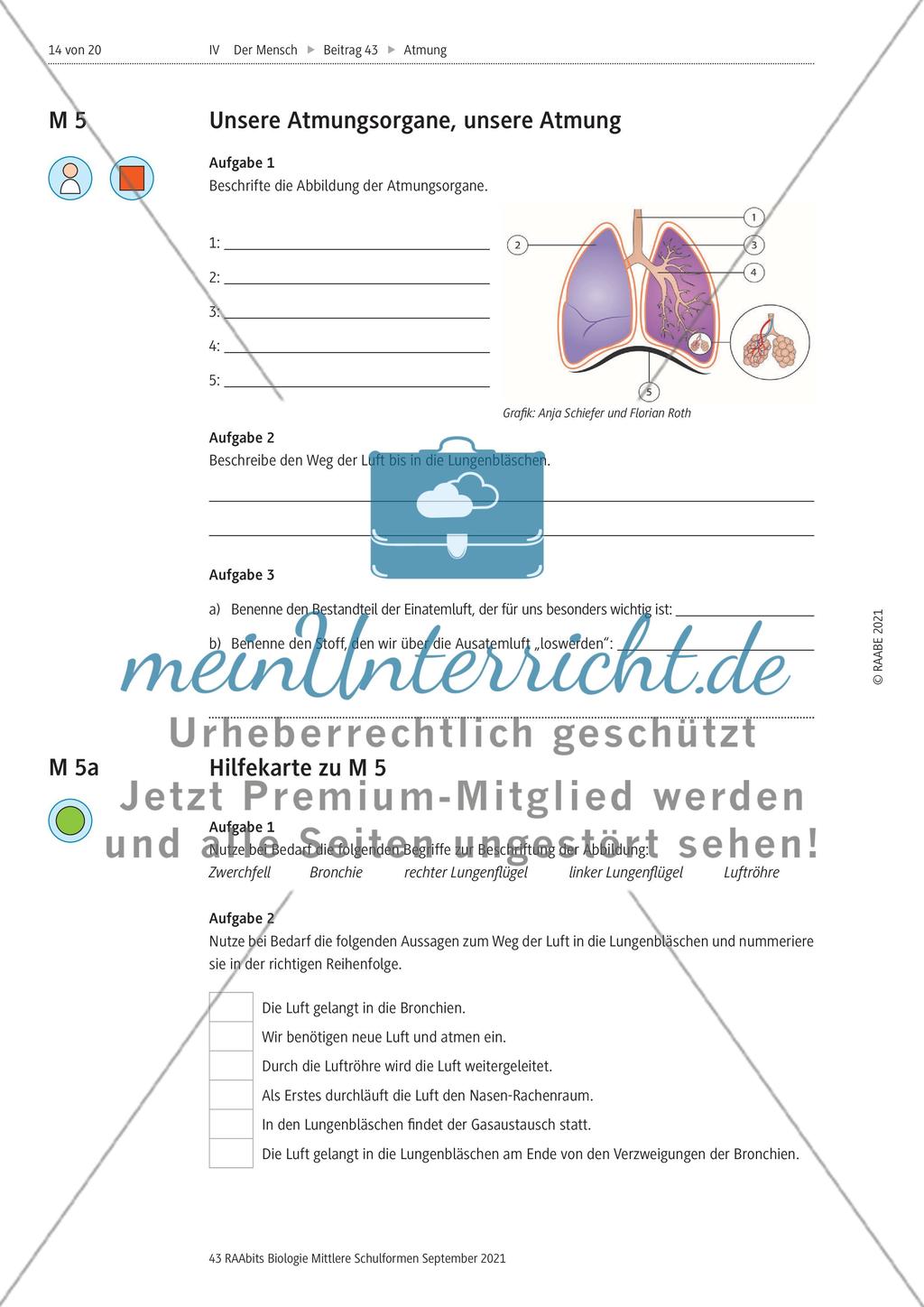 Unsere Atmung Preview 9