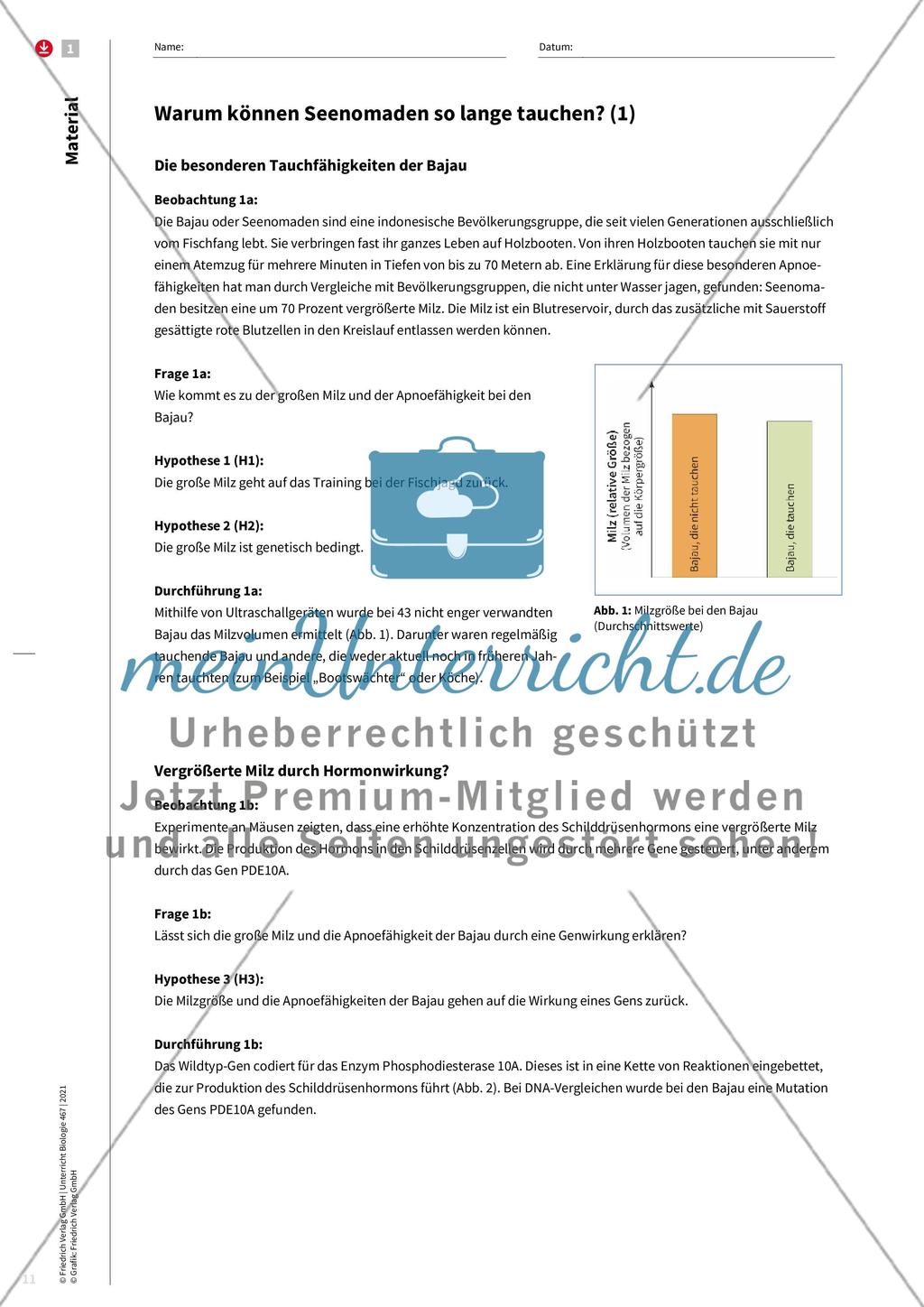 Evolution als Erklärungsprinzip Preview 3