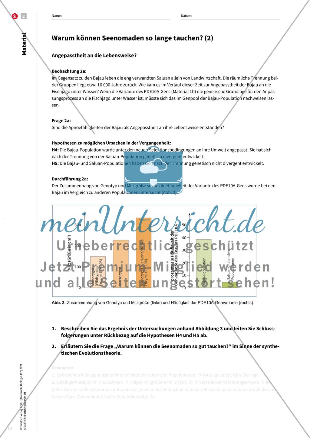 Evolution als Erklärungsprinzip Preview 5