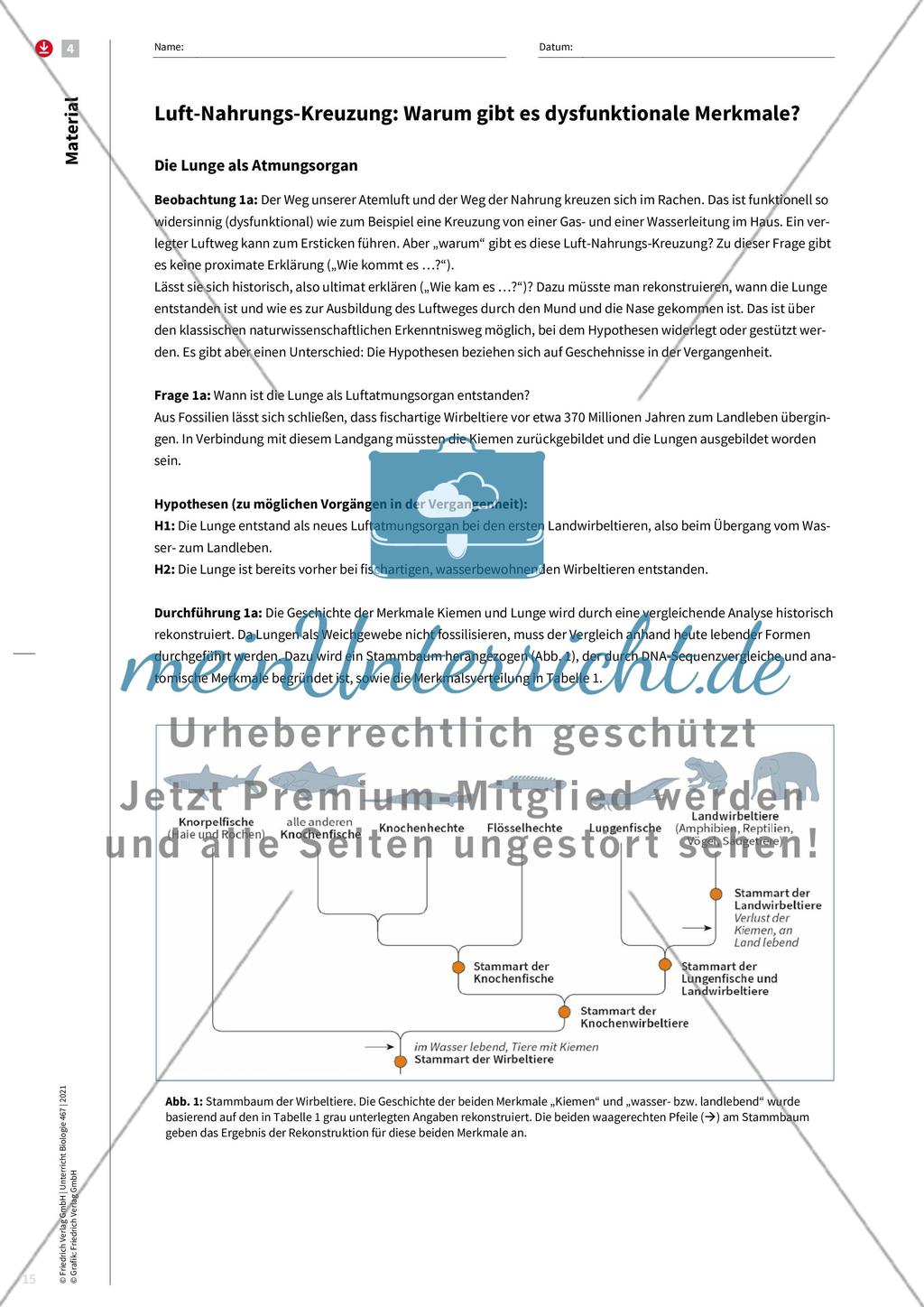 Evolution als Erklärungsprinzip Preview 7