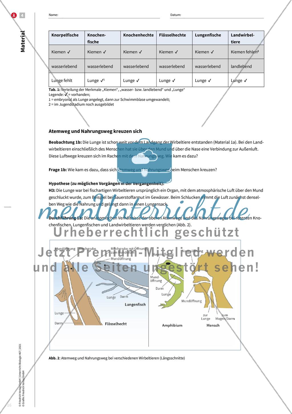 Evolution als Erklärungsprinzip Preview 8