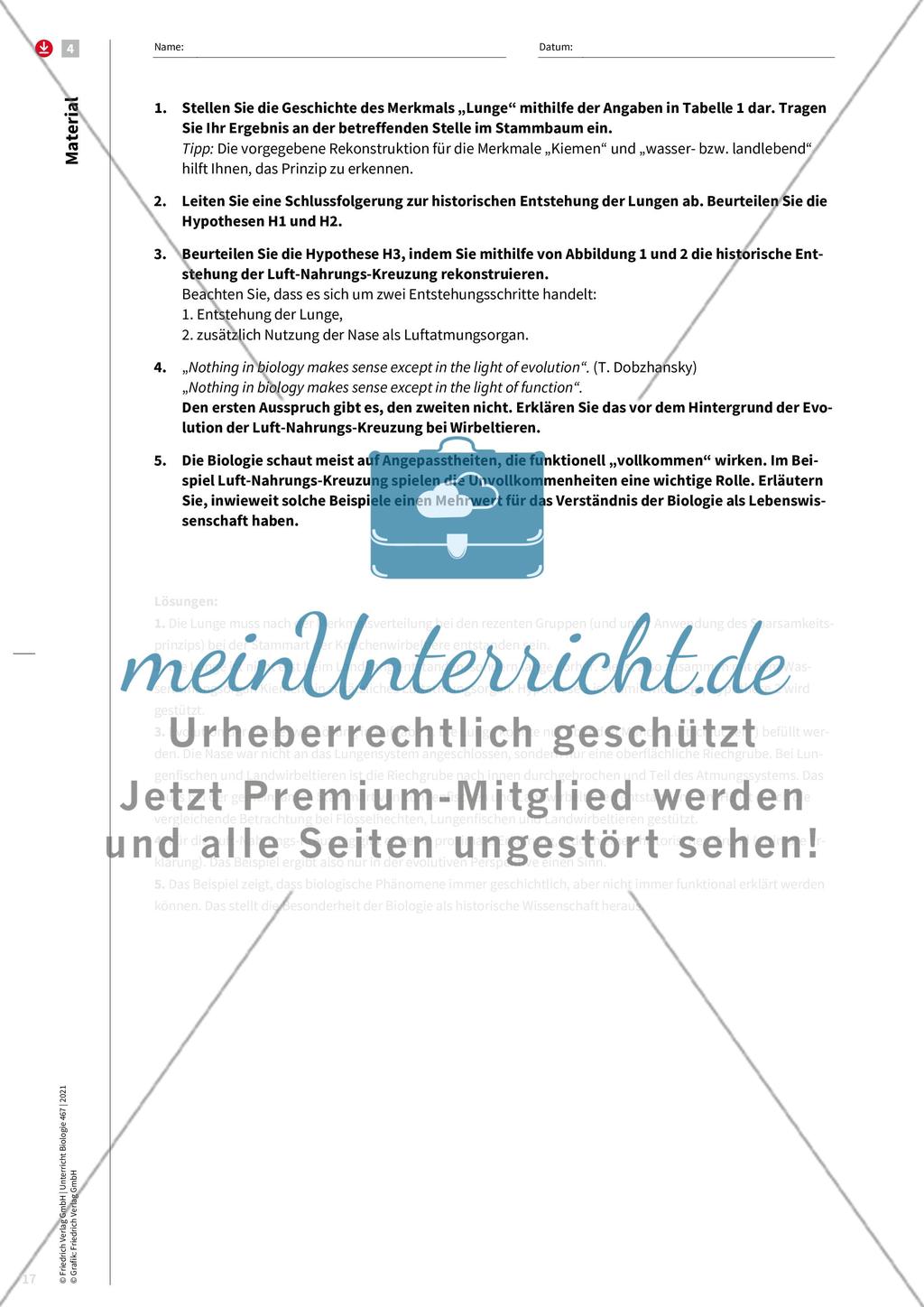 Evolution als Erklärungsprinzip Preview 9