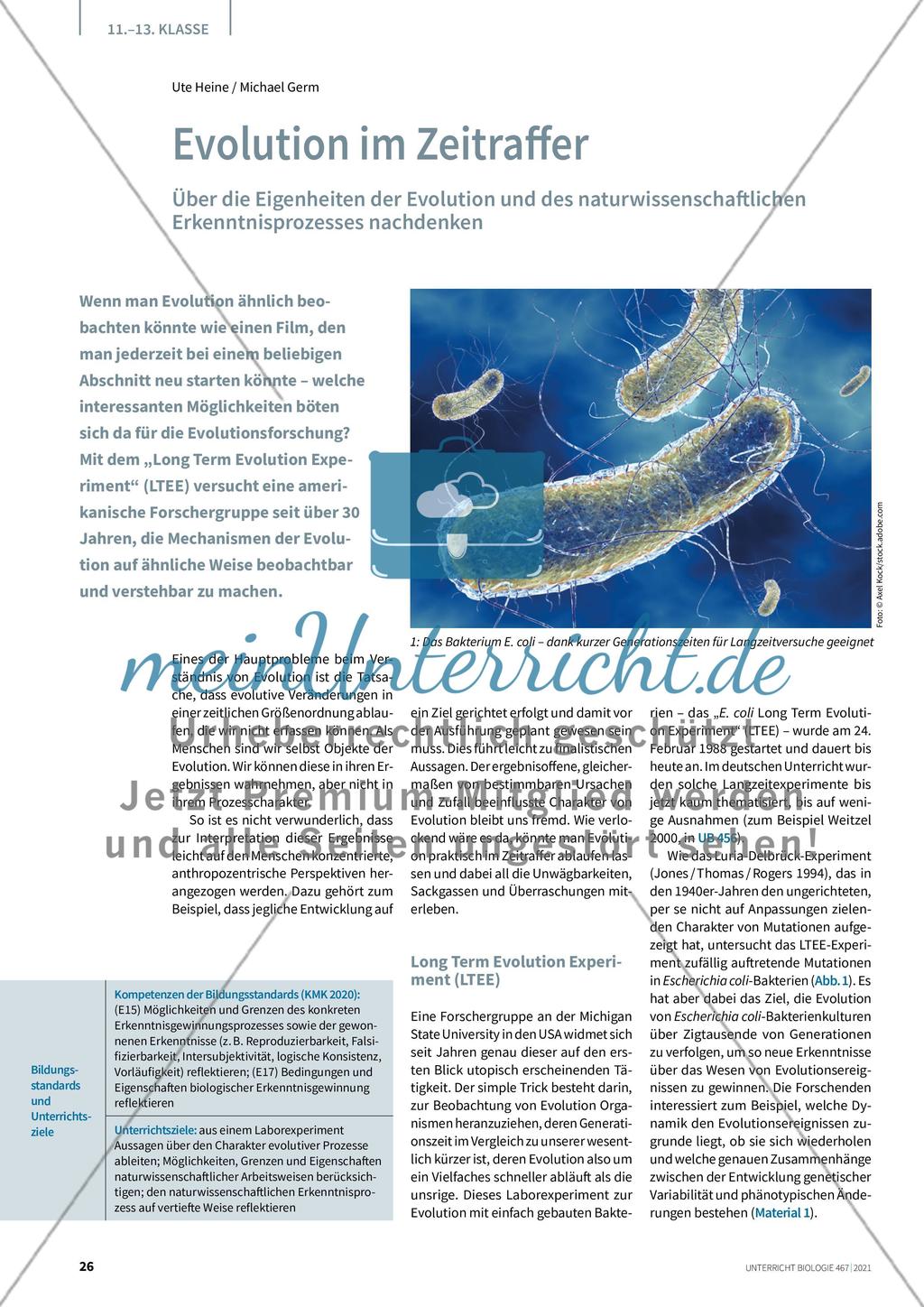 Evolution im Zeitraffer Preview 1