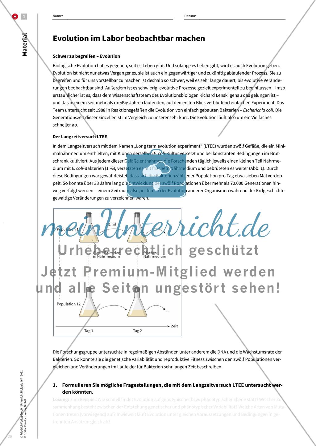 Evolution im Zeitraffer Preview 3