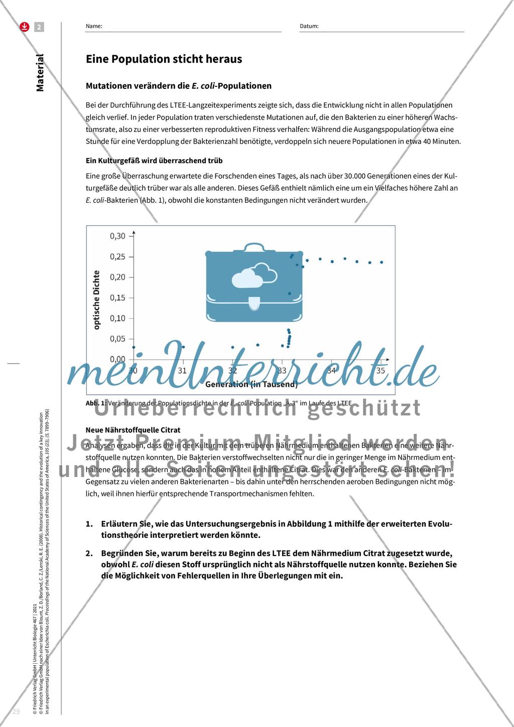 Evolution im Zeitraffer Preview 4