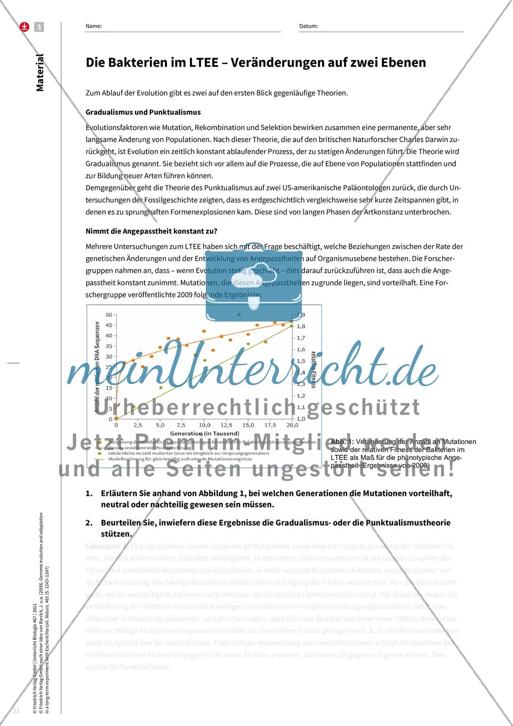 Evolution im Zeitraffer Preview 6