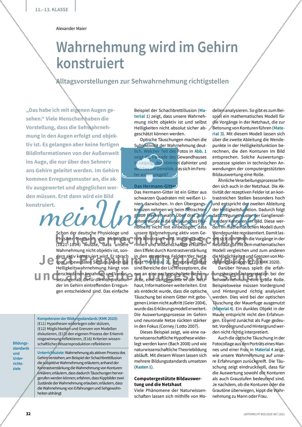 Wahrnehmung wird im Gehirn konstruiert Preview 1