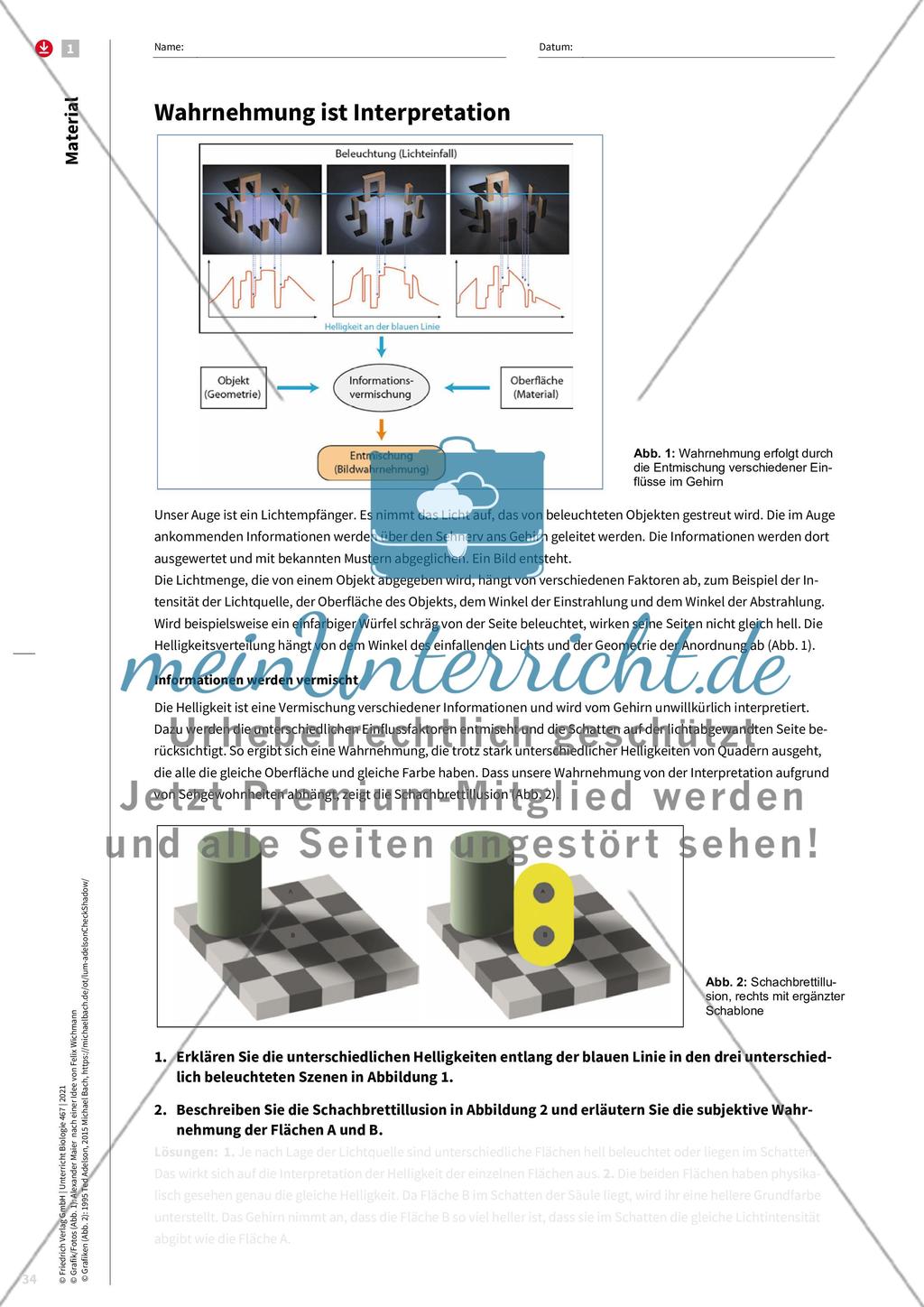 Wahrnehmung wird im Gehirn konstruiert Preview 3