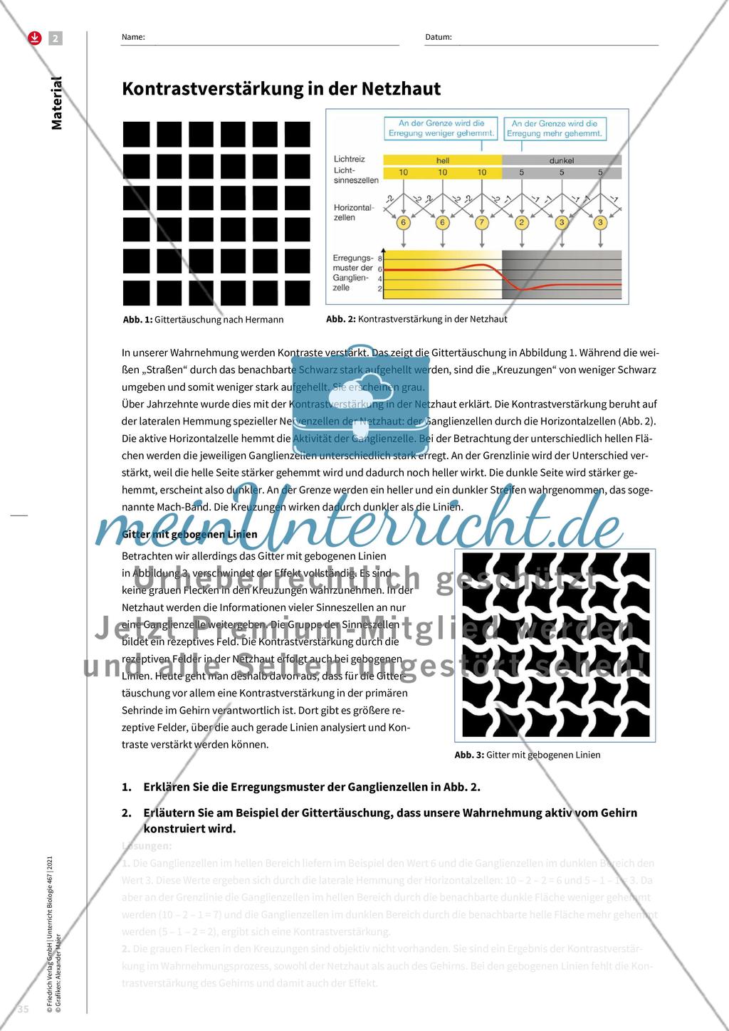 Wahrnehmung wird im Gehirn konstruiert Preview 4