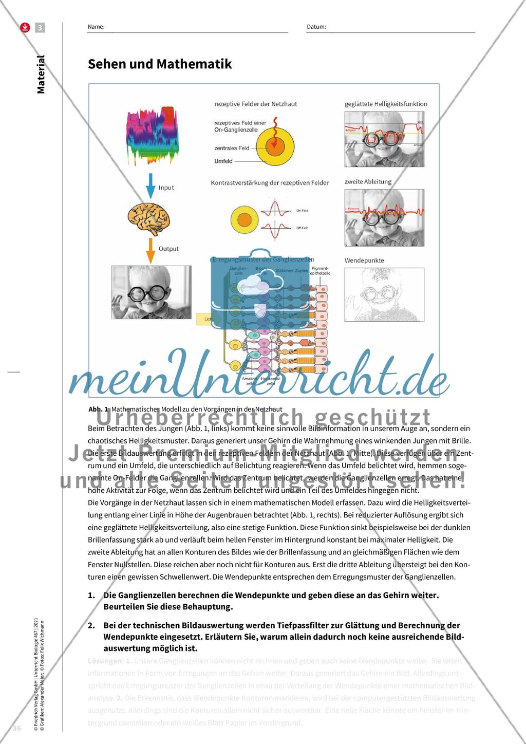 Wahrnehmung wird im Gehirn konstruiert Preview 5
