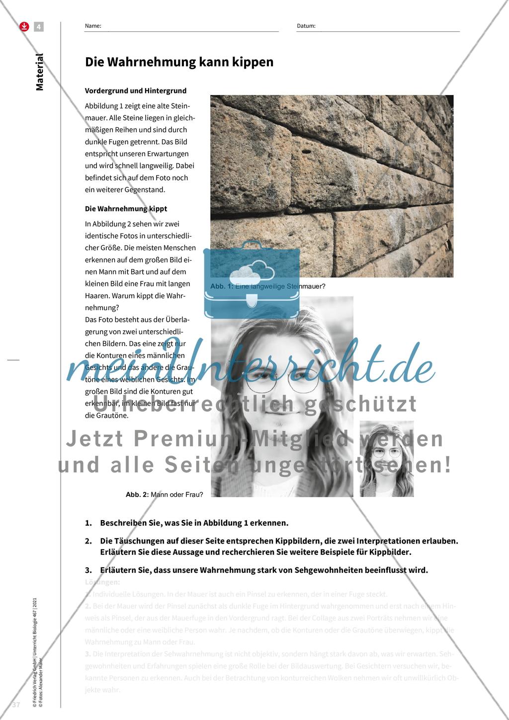 Wahrnehmung wird im Gehirn konstruiert Preview 6