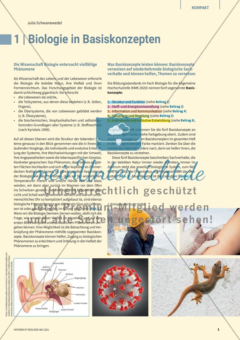 Biologie in Basiskonzepten Preview 1