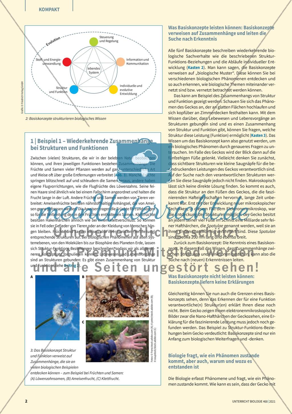 Biologie in Basiskonzepten Preview 2