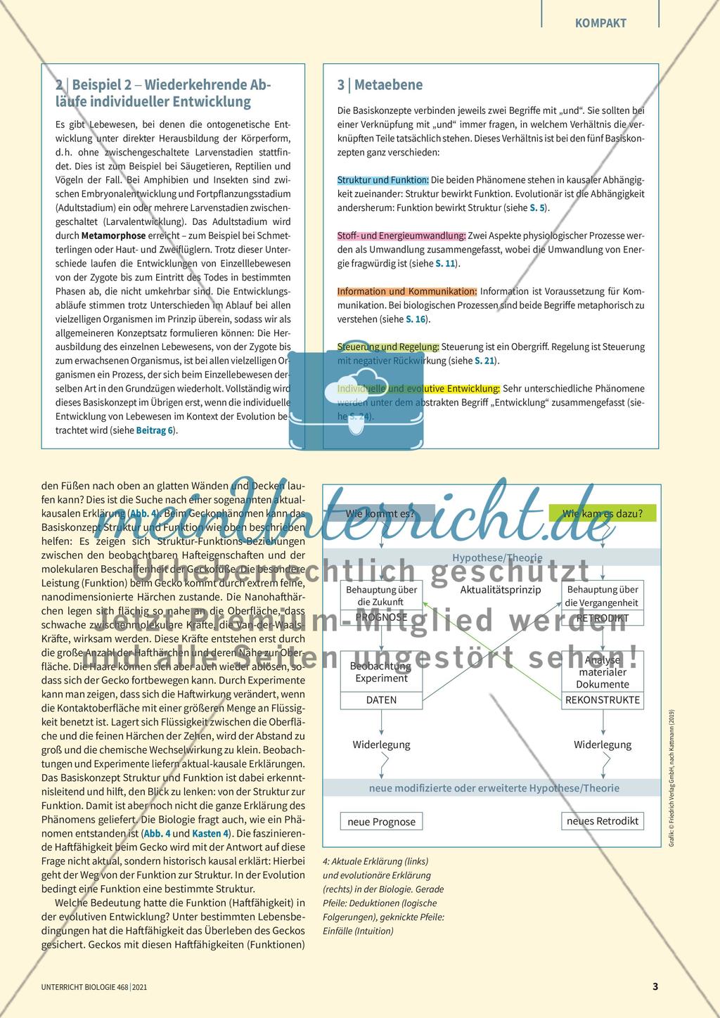 Biologie in Basiskonzepten Preview 3
