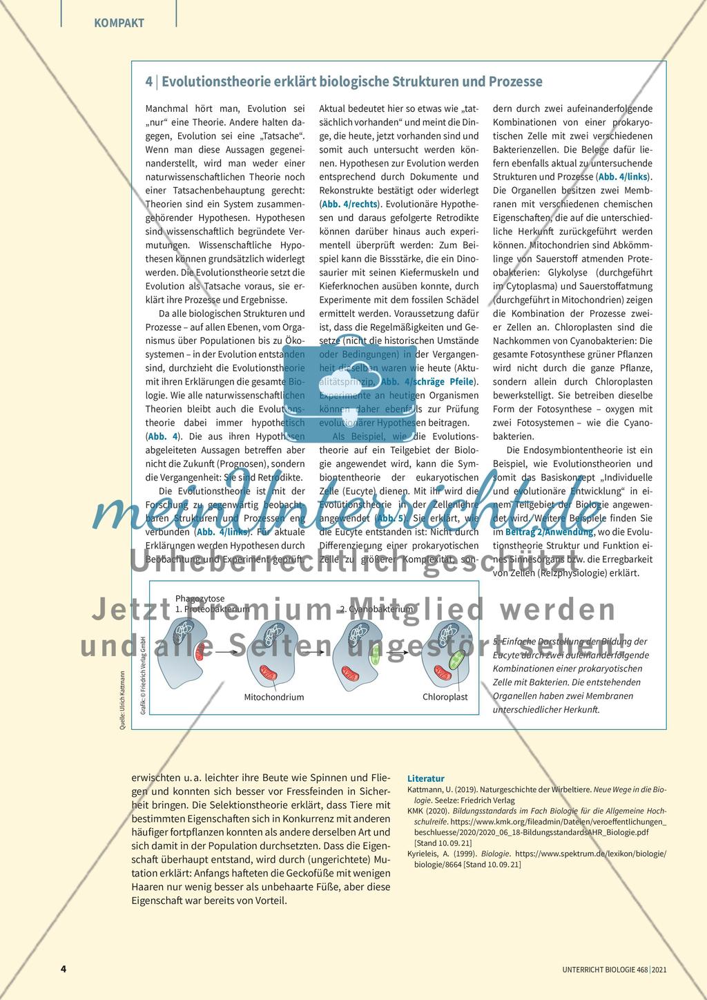 Biologie in Basiskonzepten Preview 4