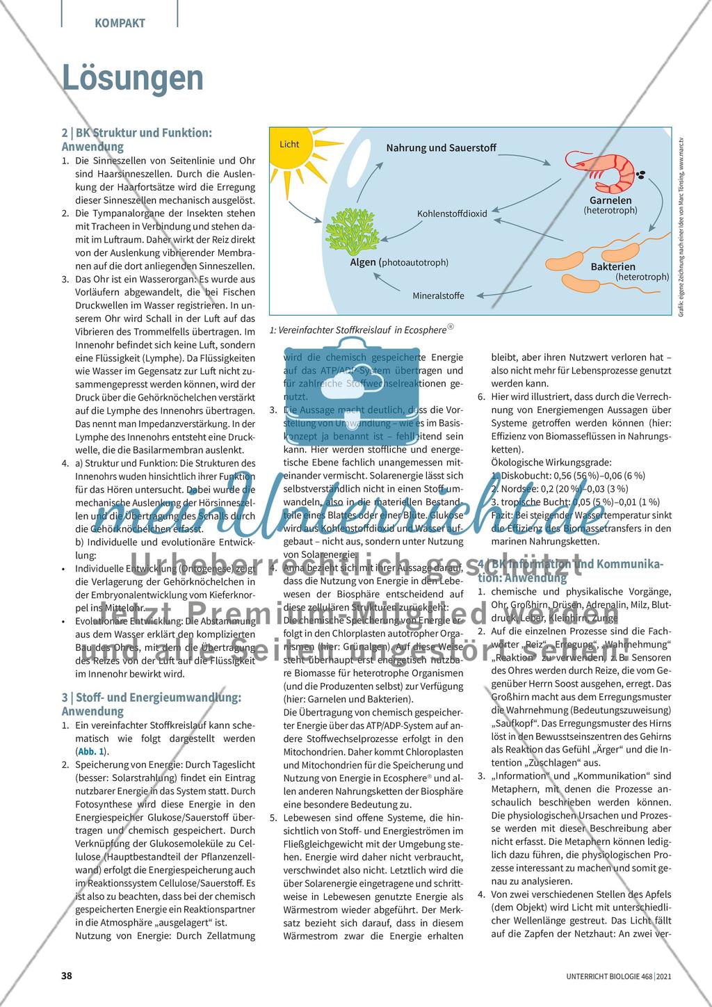 Lösungen Preview 1
