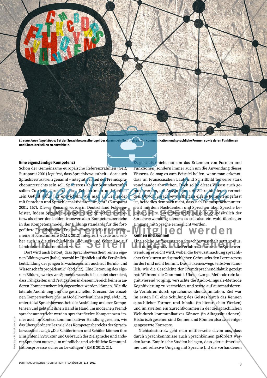 La conscience linguistique Preview 2