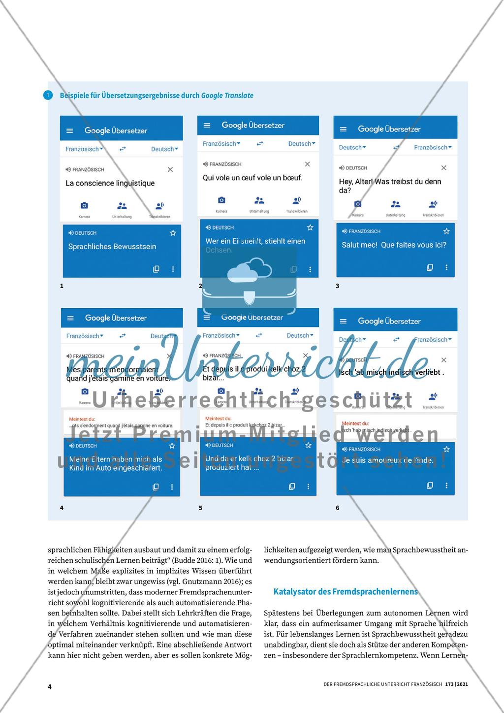 La conscience linguistique Preview 3