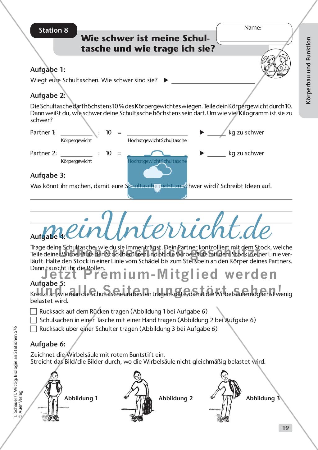 Körperbau und Funktion Preview 11