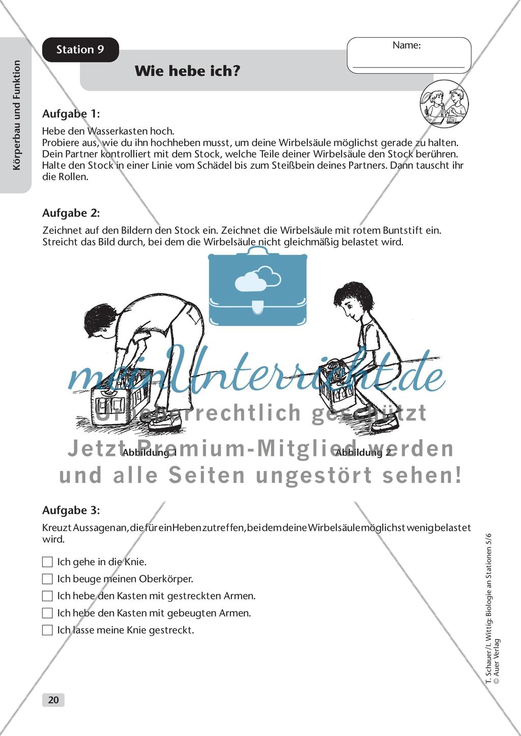 Körperbau und Funktion Preview 12