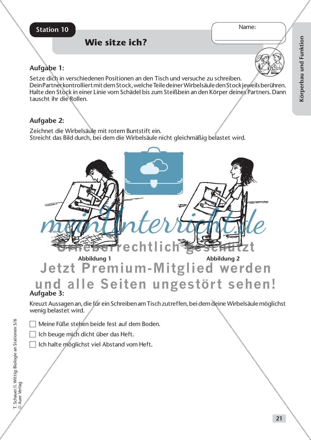 Körperbau und Funktion Preview 13