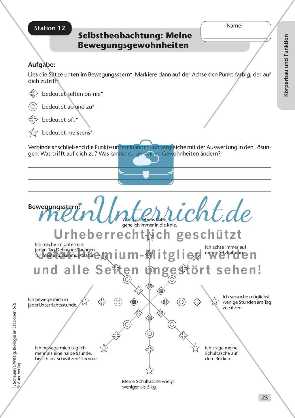 Körperbau und Funktion Preview 15