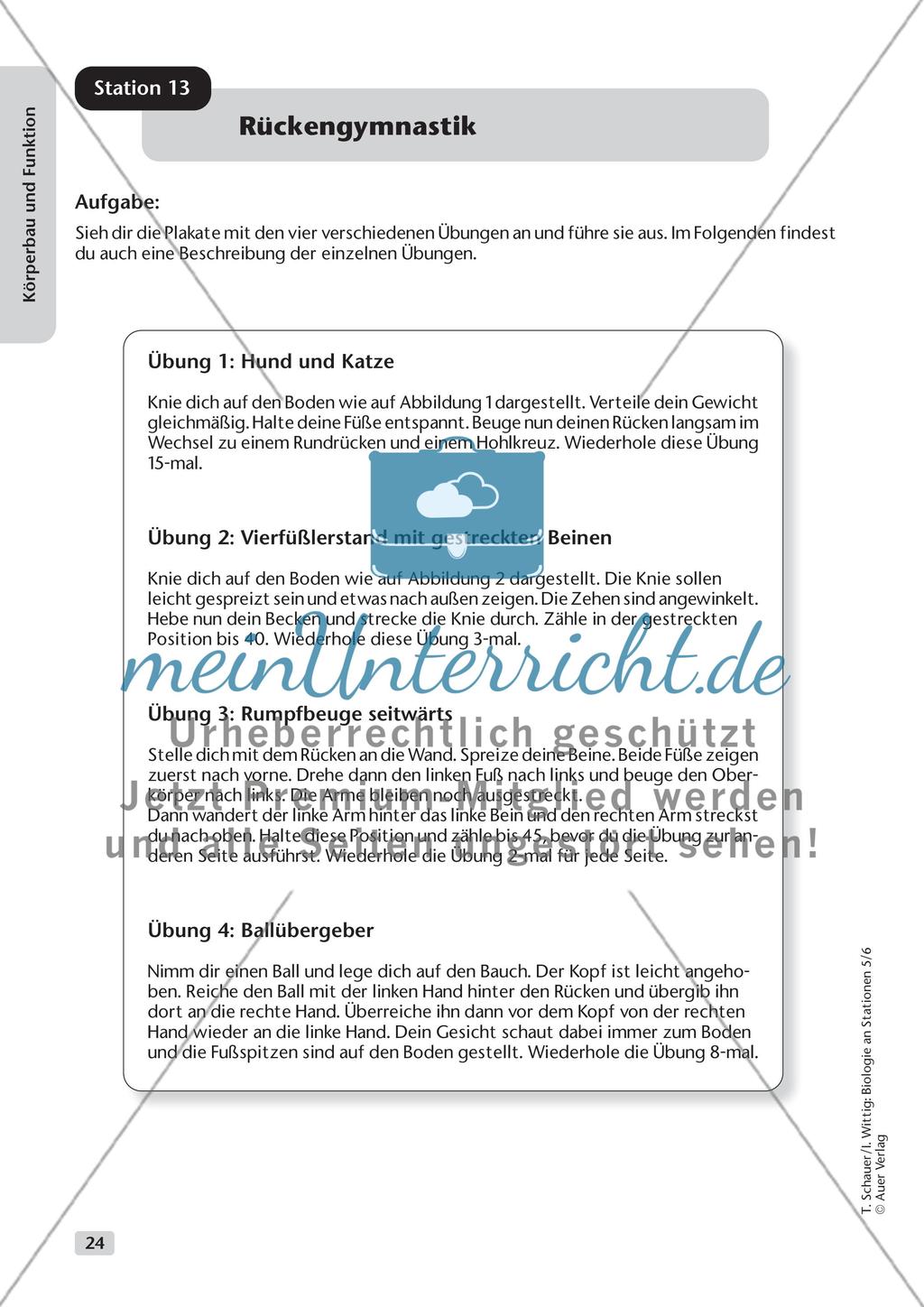 Körperbau und Funktion Preview 16