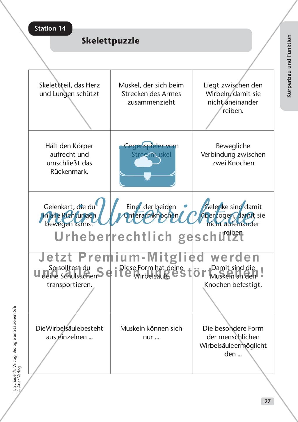 Körperbau und Funktion Preview 19