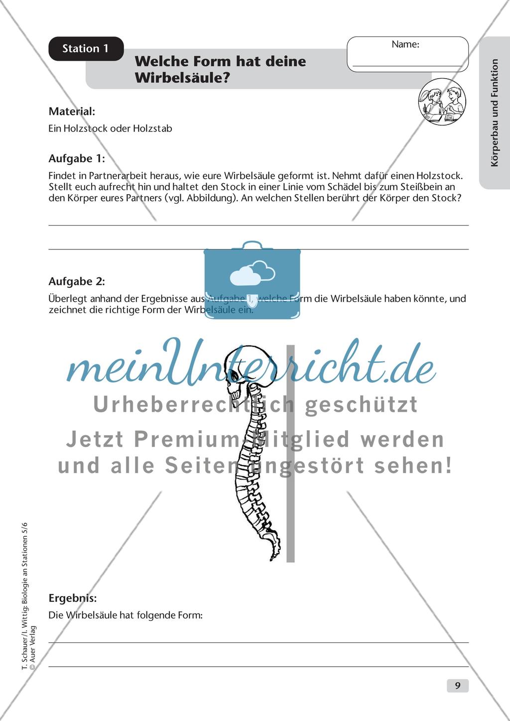 Körperbau und Funktion Preview 1