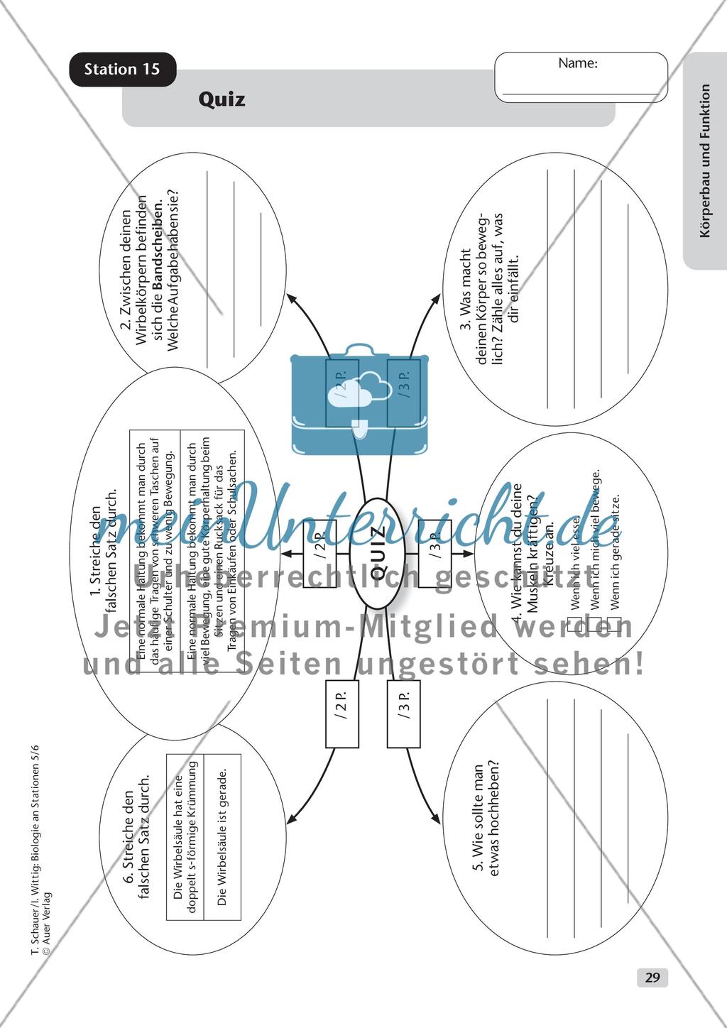 Körperbau und Funktion Preview 21