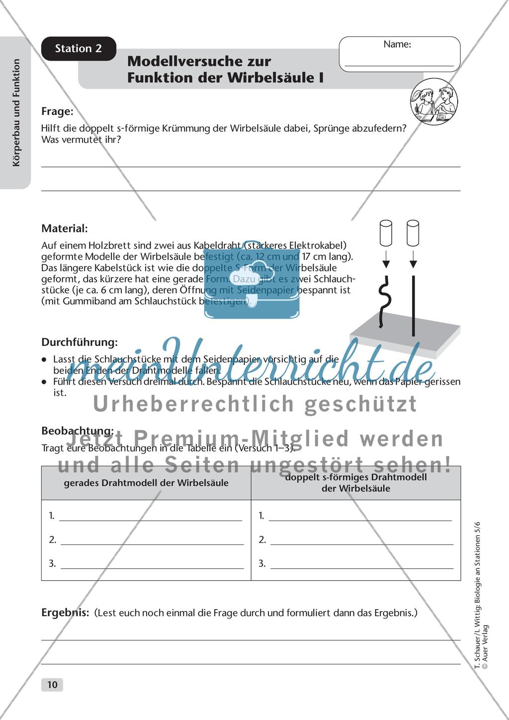 Körperbau und Funktion Preview 2