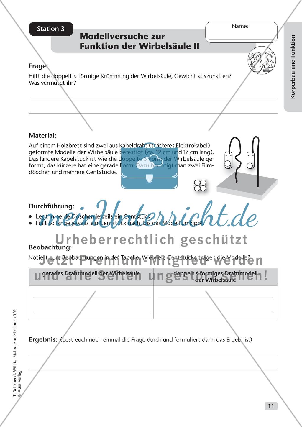 Körperbau und Funktion Preview 3