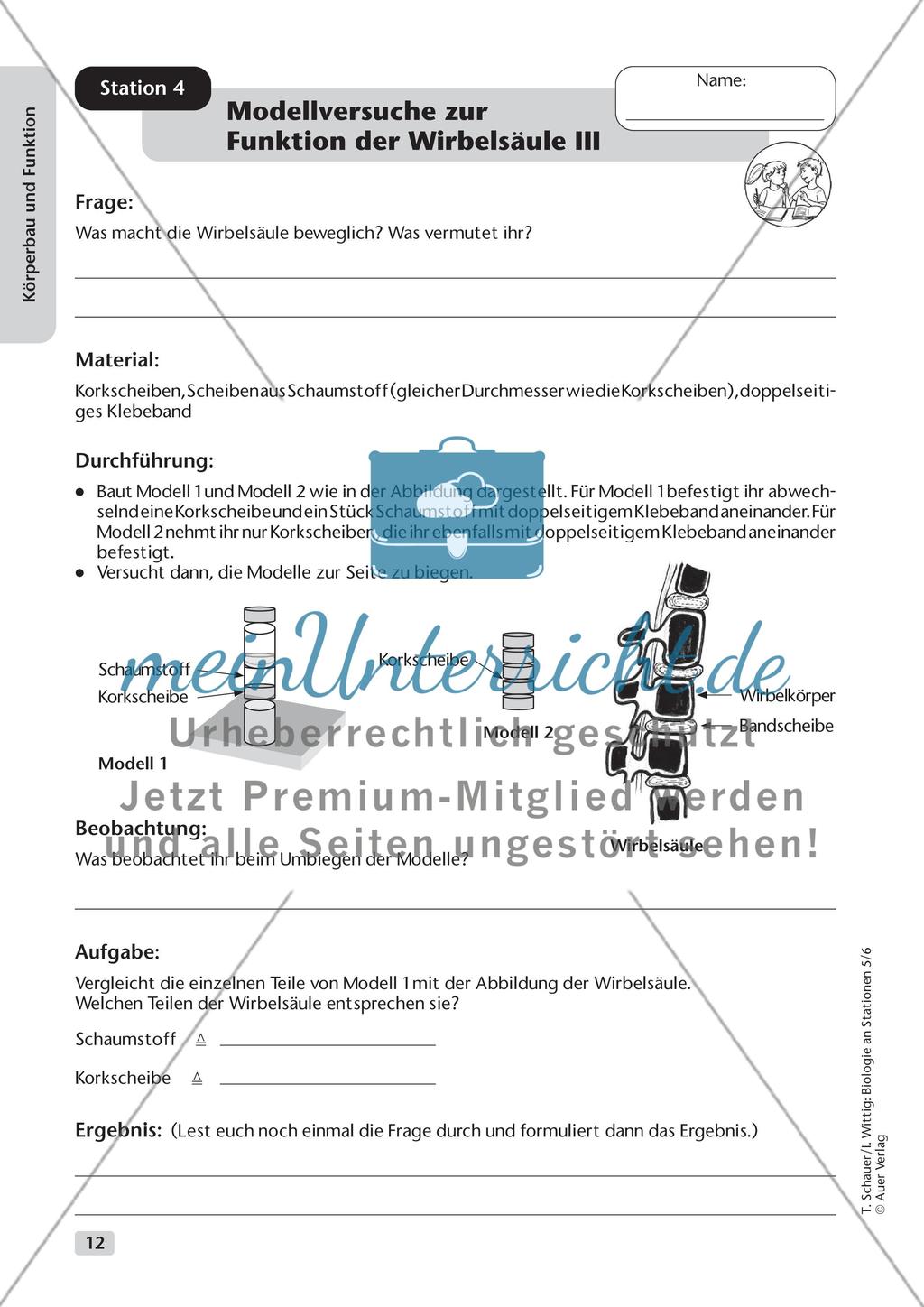 Körperbau und Funktion Preview 4