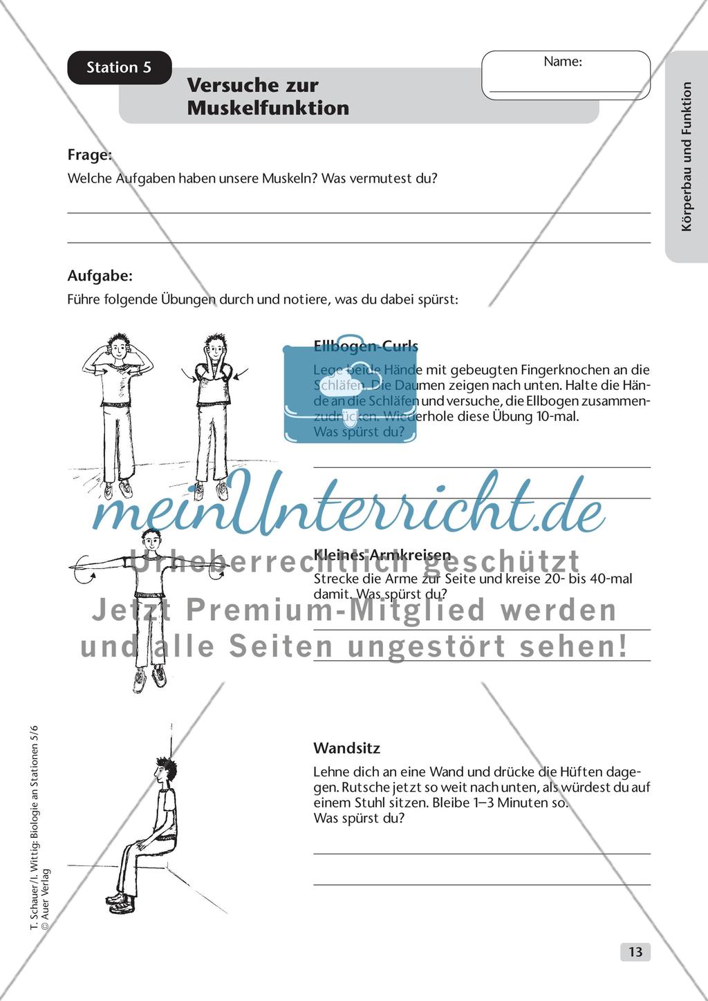 Körperbau und Funktion Preview 5