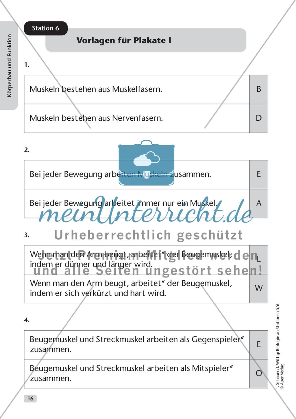 Körperbau und Funktion Preview 8