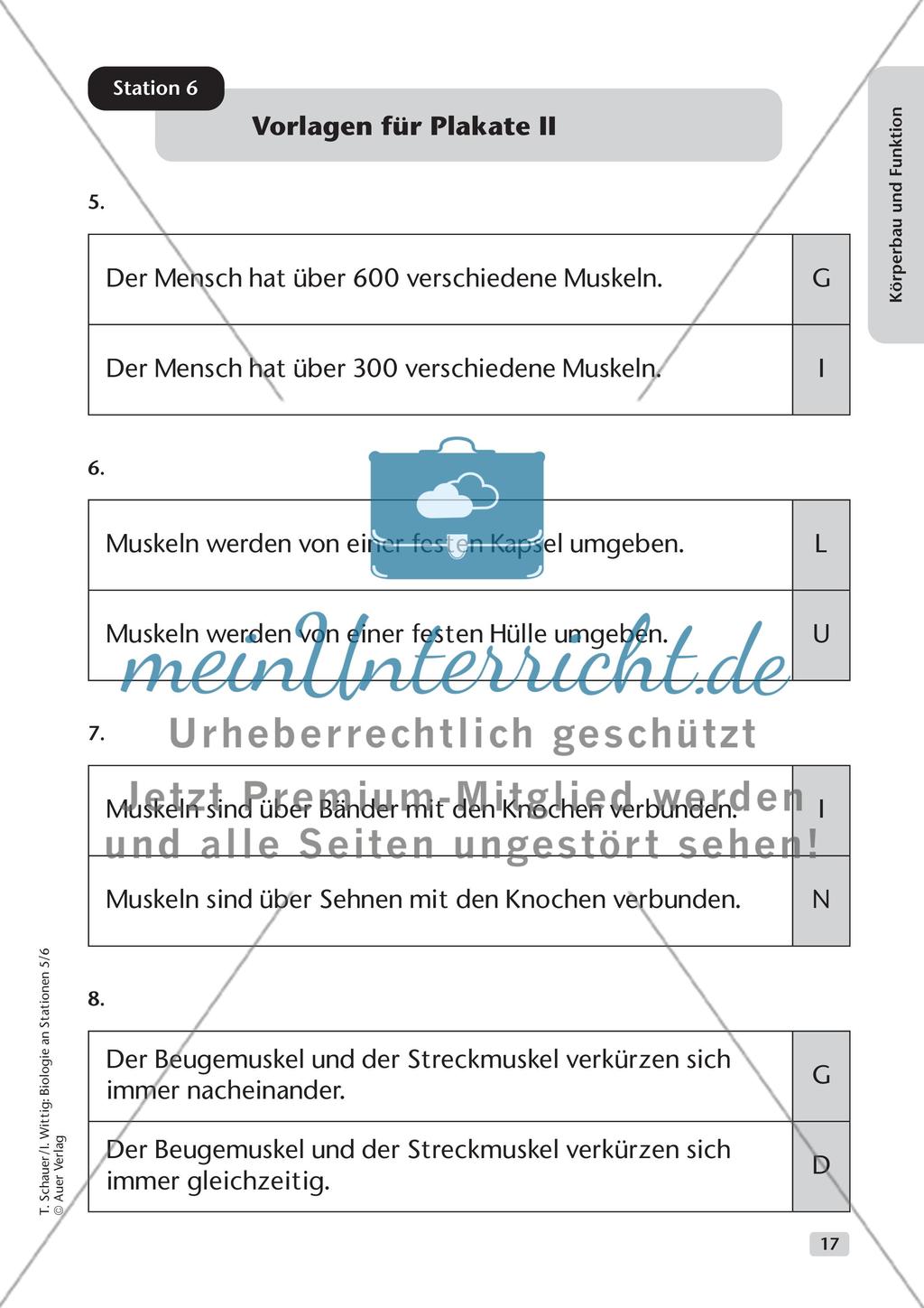 Körperbau und Funktion Preview 9