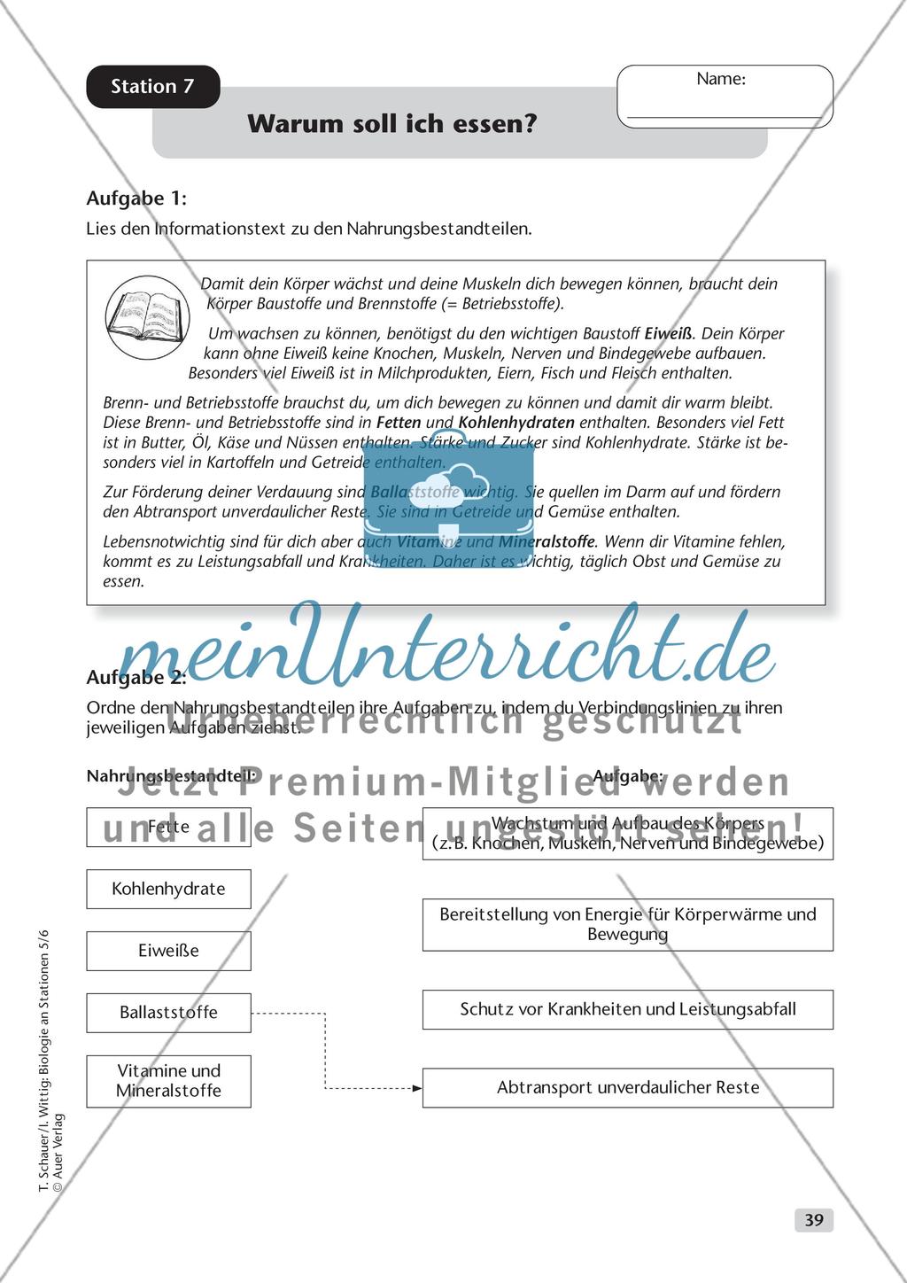 Ernährung Preview 10