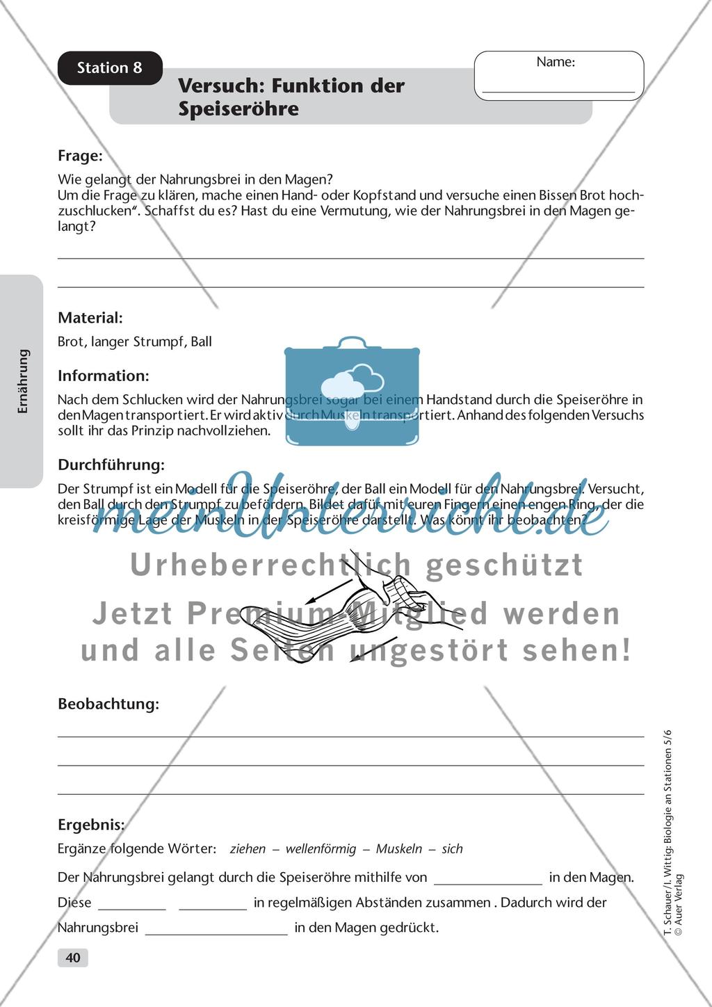 Ernährung Preview 11