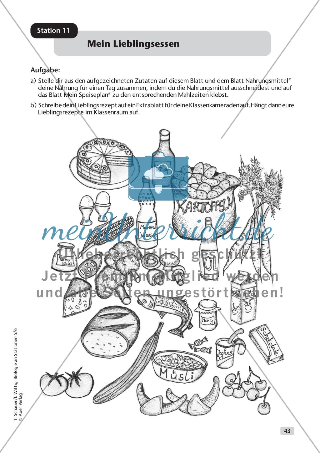 Ernährung Preview 14