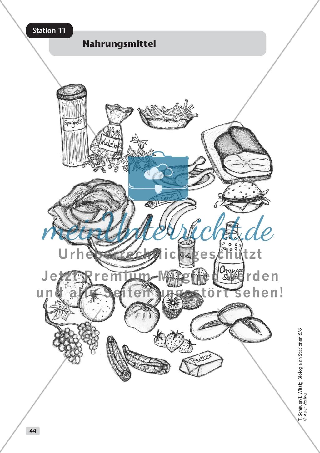 Ernährung Preview 15