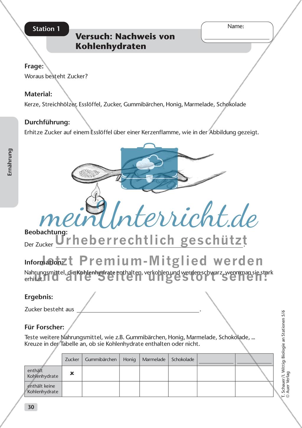 Ernährung Preview 1