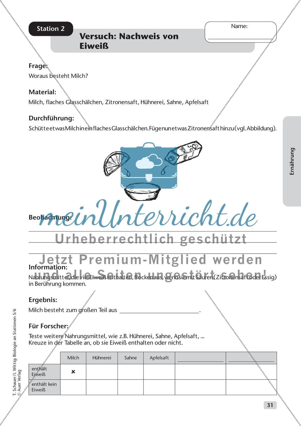 Ernährung Preview 2