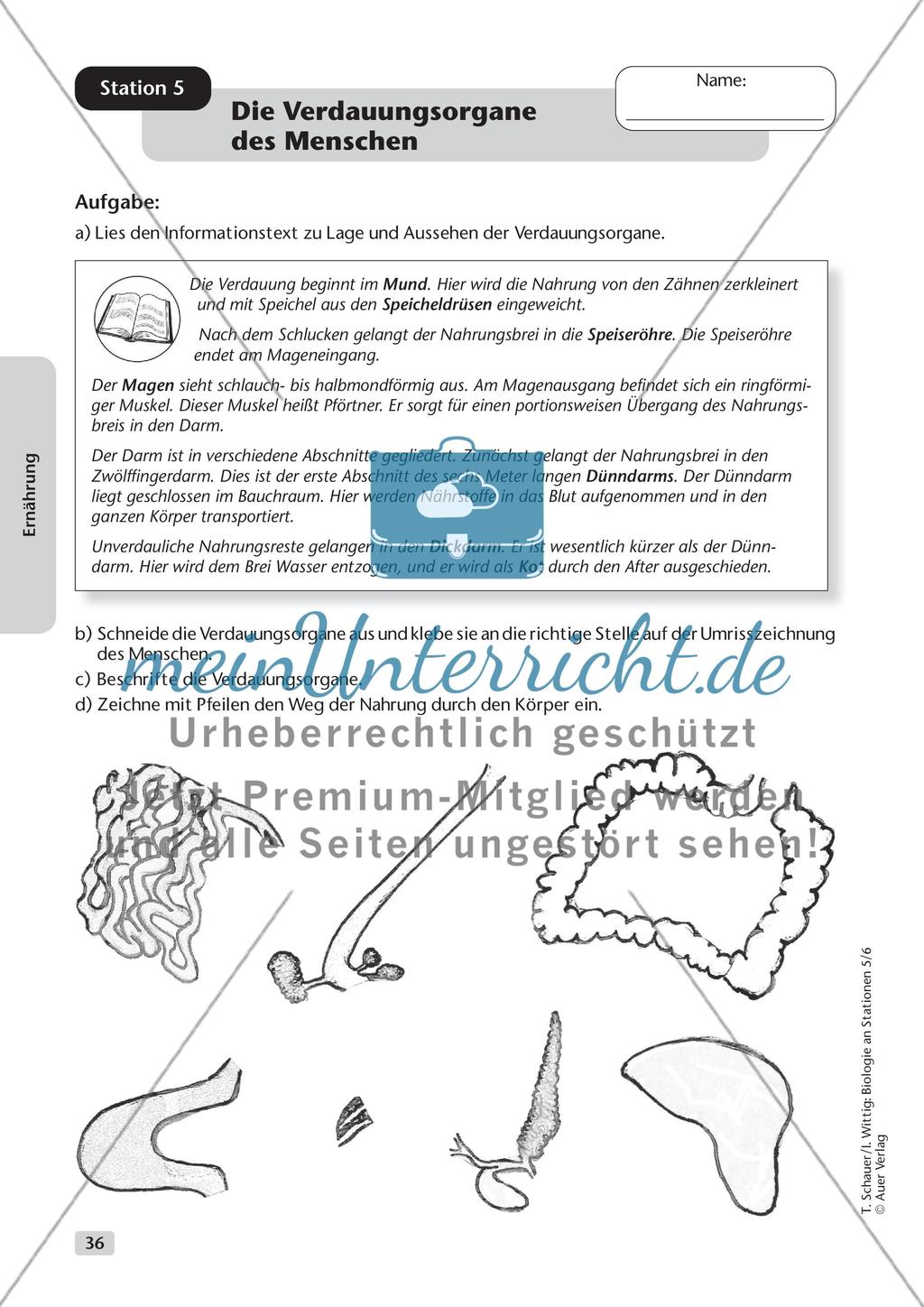 Ernährung Preview 7