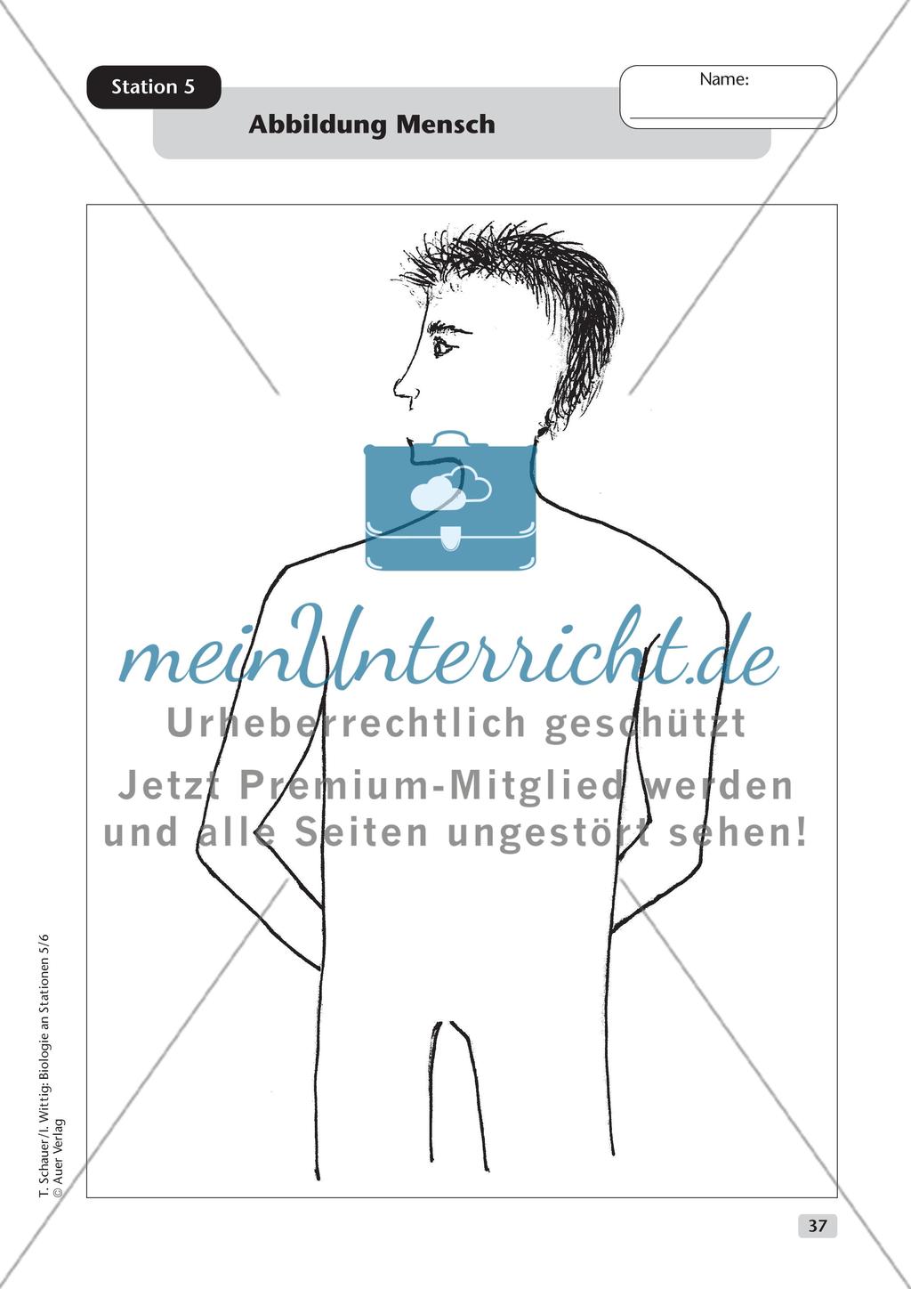 Ernährung Preview 8