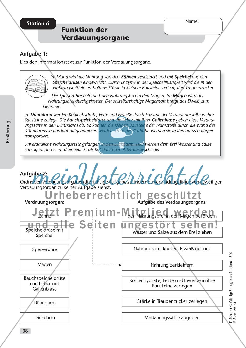 Ernährung Preview 9