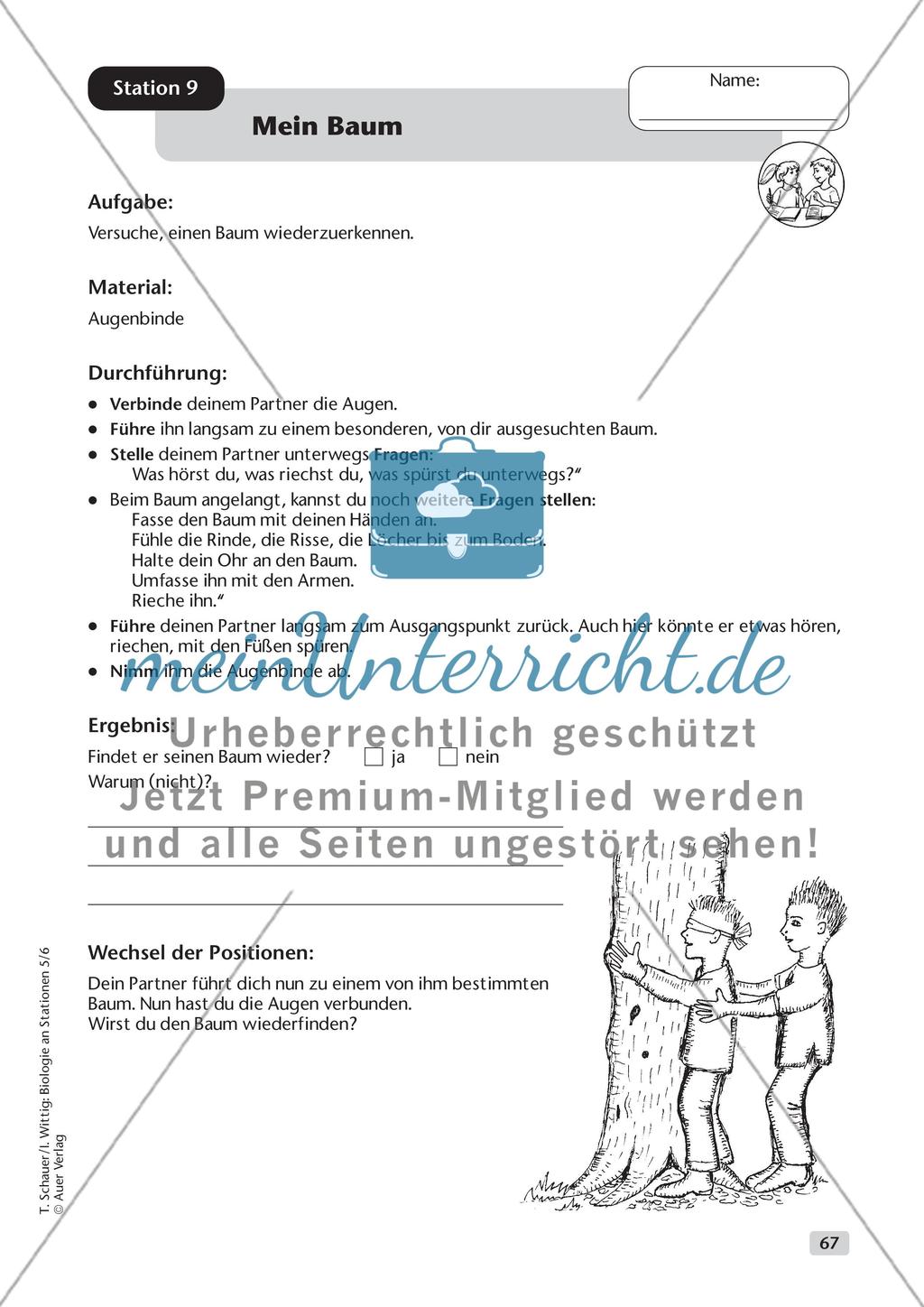Ökosystem Wald - Teil 2 Preview 10