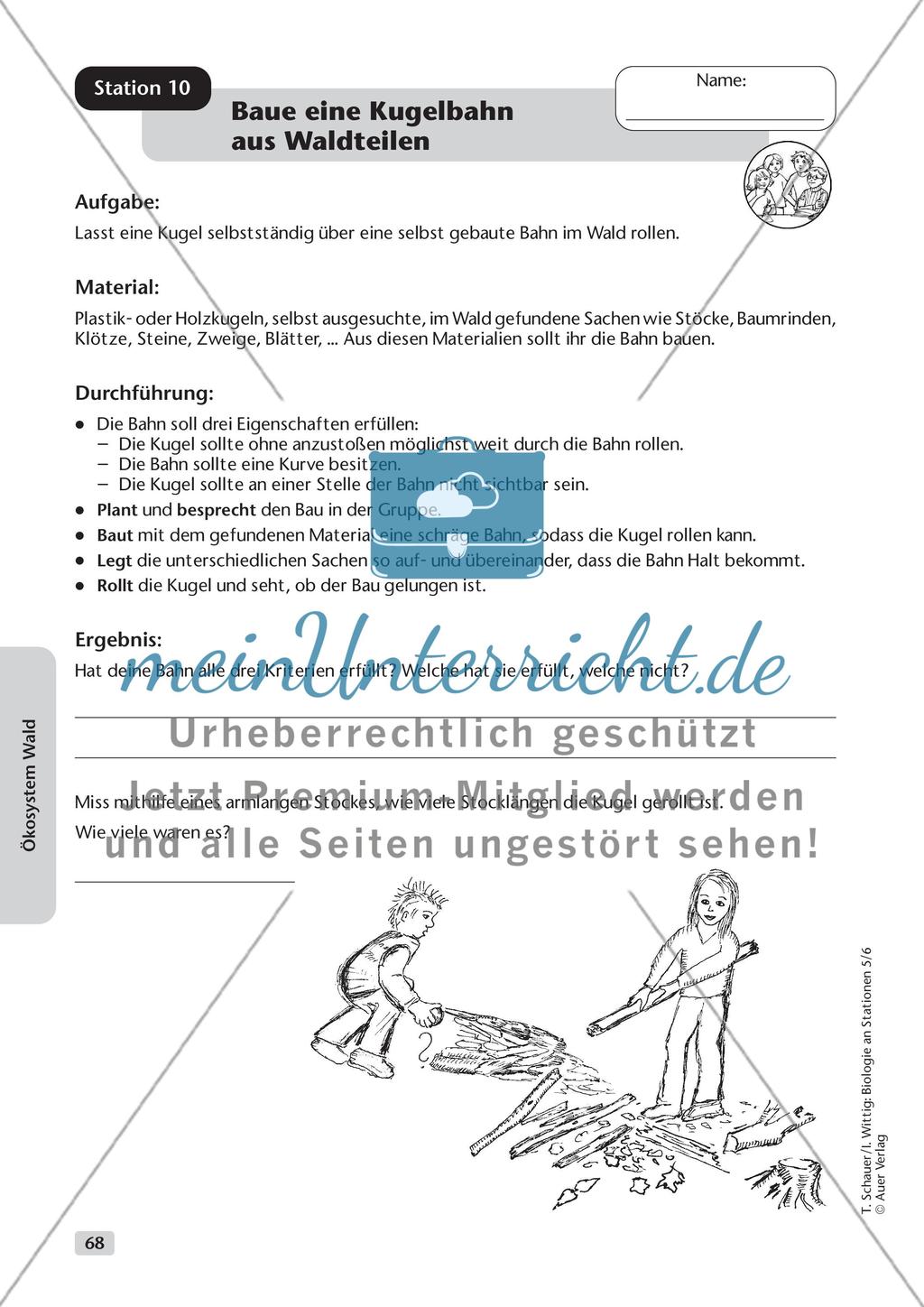 Ökosystem Wald - Teil 2 Preview 11